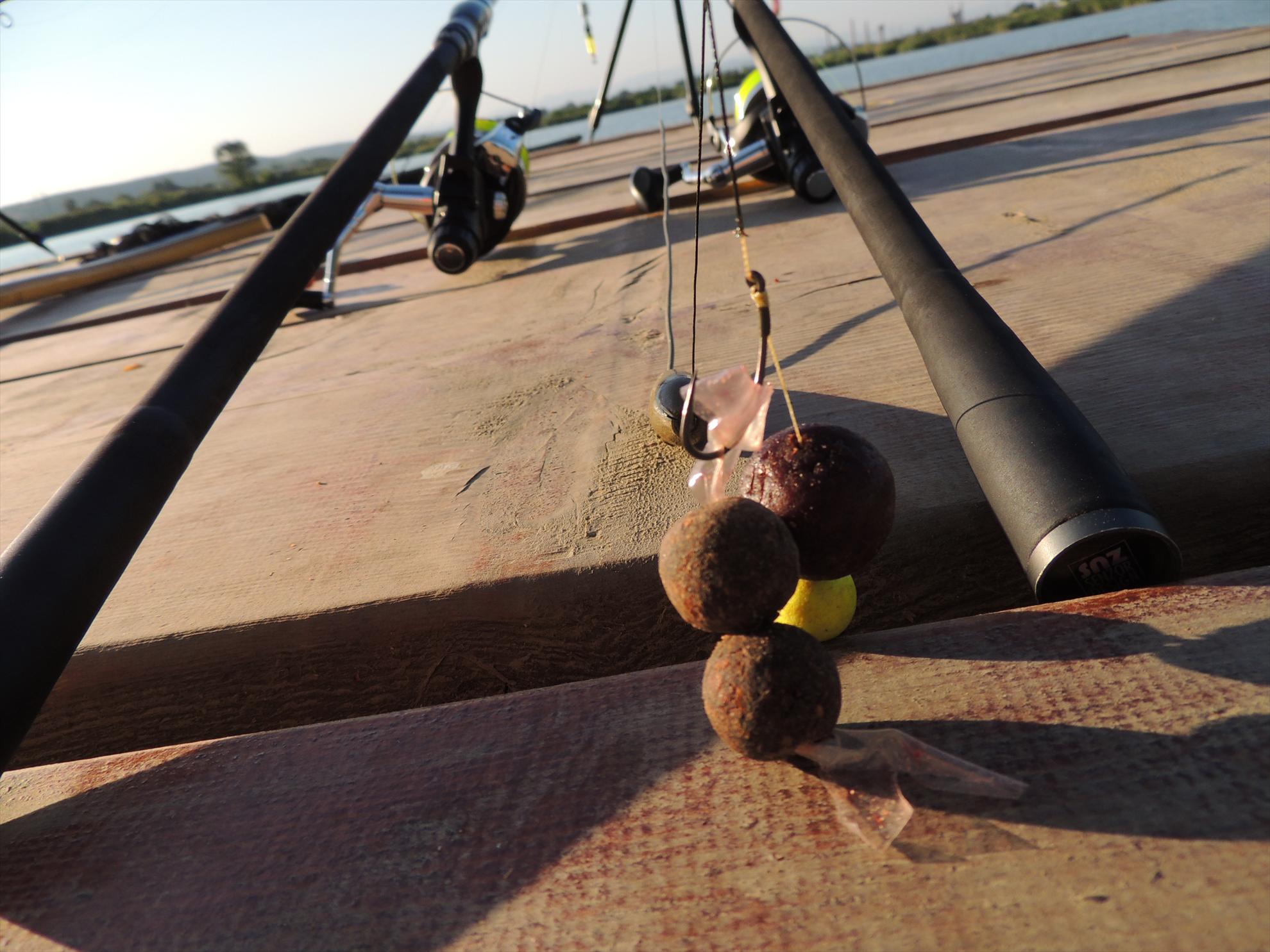 Pleasa - dscn0577.JPG